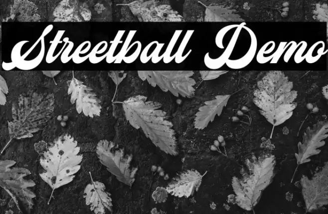 Streetball Demo Font examples