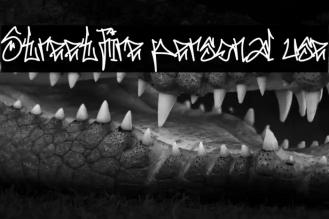 Streetfire personal use Font examples