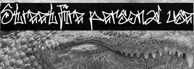 Streetfire personal use Font examples