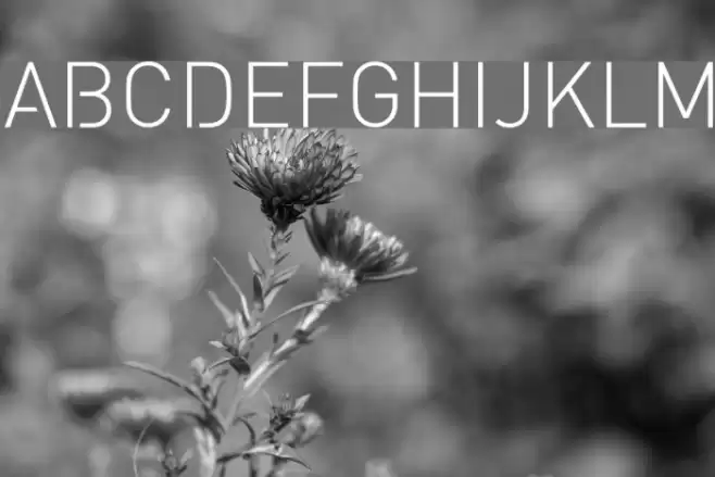 StreetvertisingLight Font examples