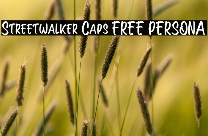 Streetwalker Caps [FREE PERSONA Example 2