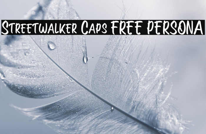 Streetwalker Caps [FREE PERSONA Example 3