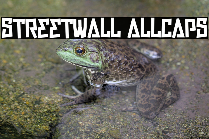 Streetwall Allcaps Example 1