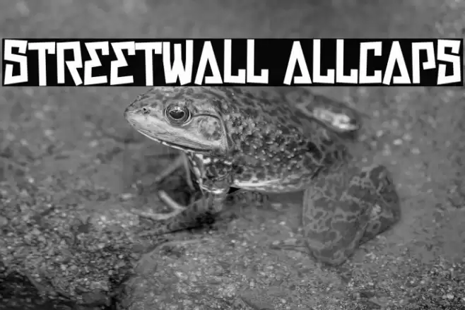 Streetwall Allcaps Font examples