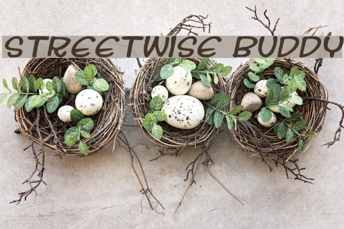 Streetwise buddy Font examples