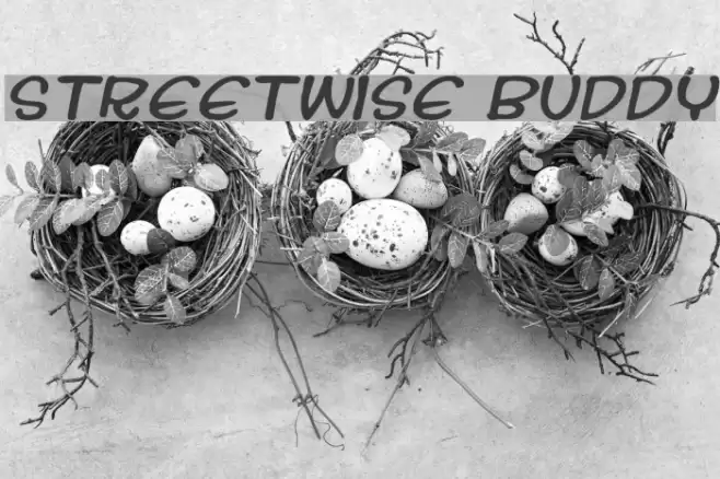 Streetwise buddy Шрифта examples