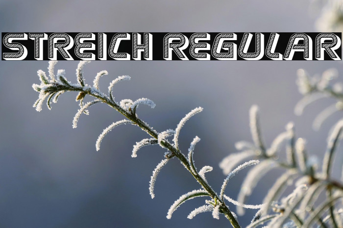 Streich Regular Example 2