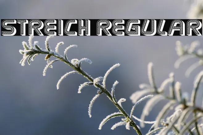 Streich Regular Example 2