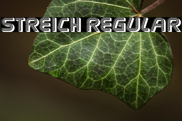 Streich Regular Example 3