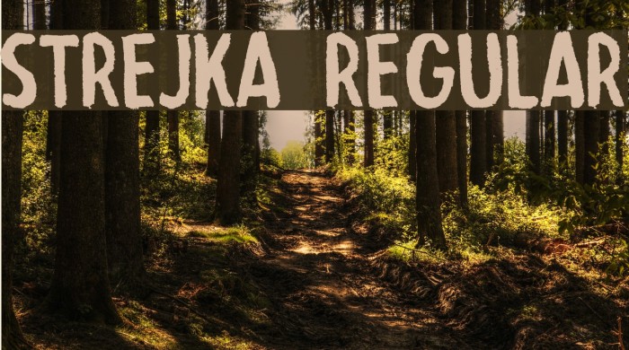 Strejka Regular Font examples