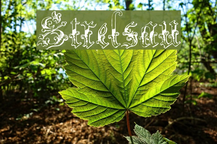 Strelsau Font examples