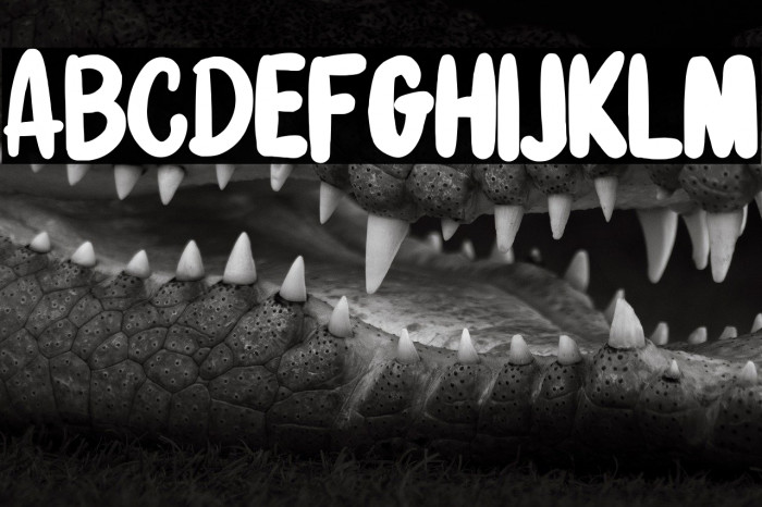 StrengthNight-Regular Example 2