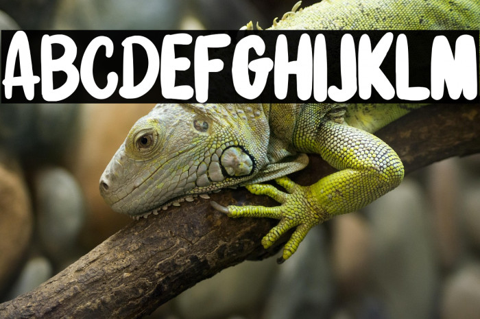 StrengthNight-Regular Example 3