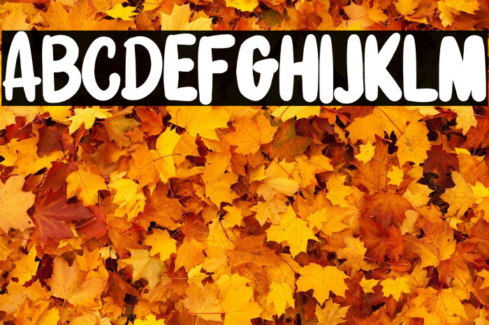 StrengthNight-Regular Example 2