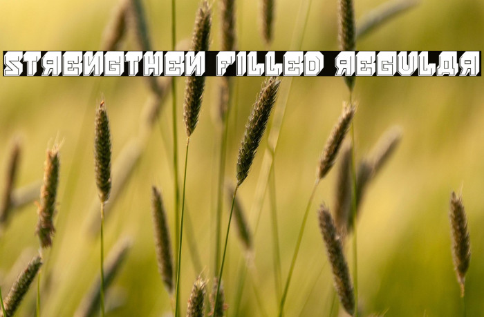 Strengthen Filled Regular Example 2