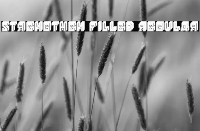 Strengthen Filled Regular Font examples