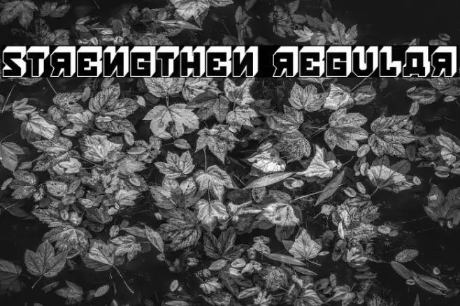 Strengthen Regular Font examples