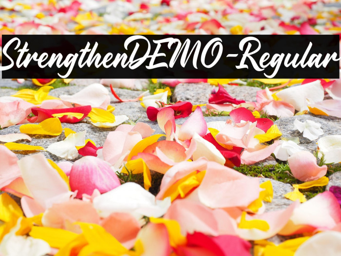 StrengthenDEMO-Regular Example 1