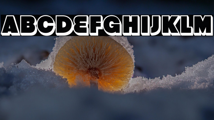 StrenuousThreeD-Regular Example 2