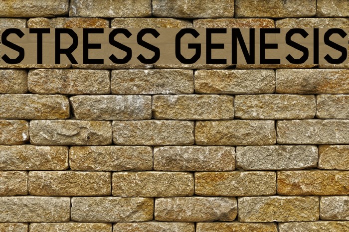 Stress Genesis Font examples