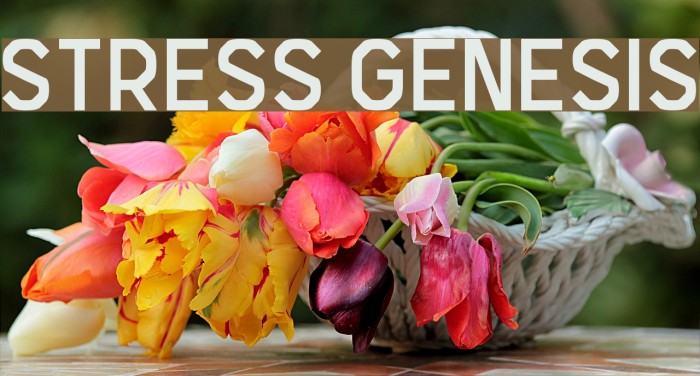Stress Genesis Font examples