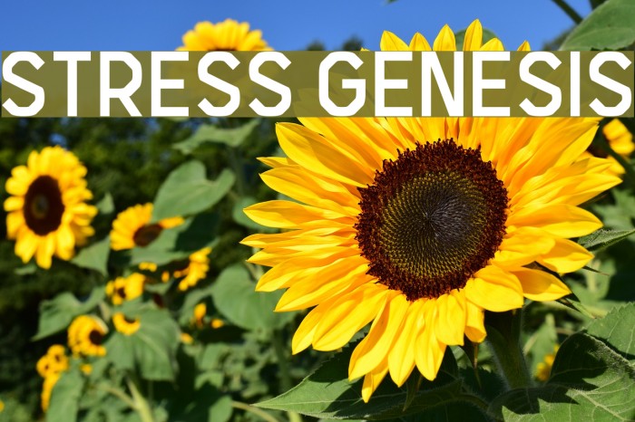 Stress Genesis Font examples