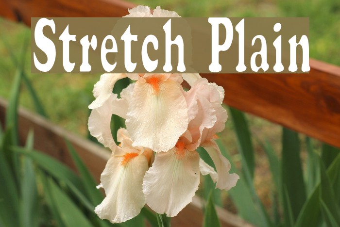 Stretch Plain Font examples