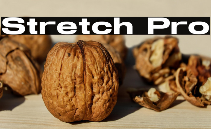 Stretch Pro Example 1