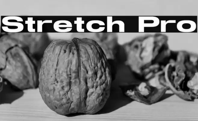 Stretch Pro Font examples