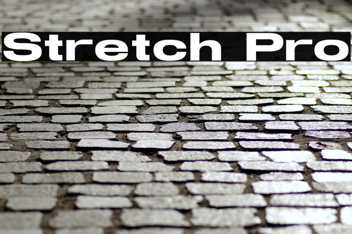 Stretch Pro Example 2