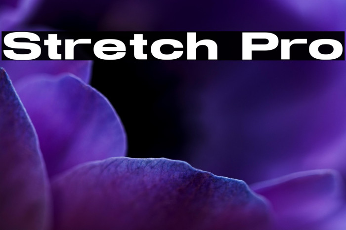 Stretch Pro Example 3