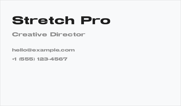 Stretch Pro Business Card