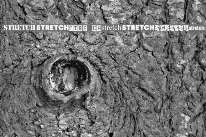 Stretch Font examples