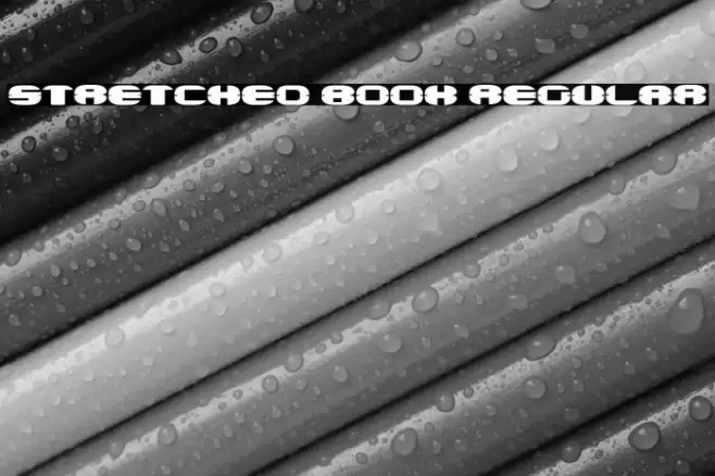 Stretched Book Regular Font examples
