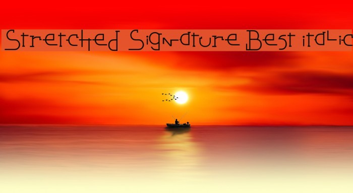 Stretched Signature Best Italic Шрифта examples