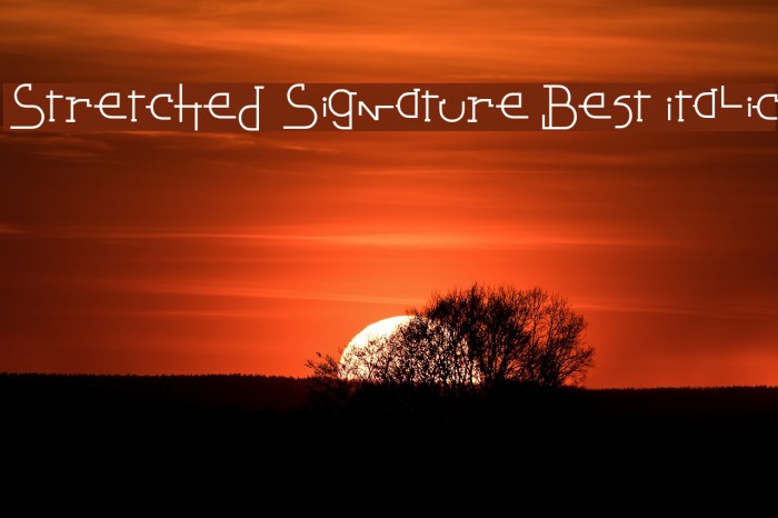 Stretched Signature Best Italic Шрифта examples