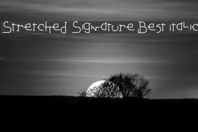 Stretched Signature Best Italic Fuentes examples