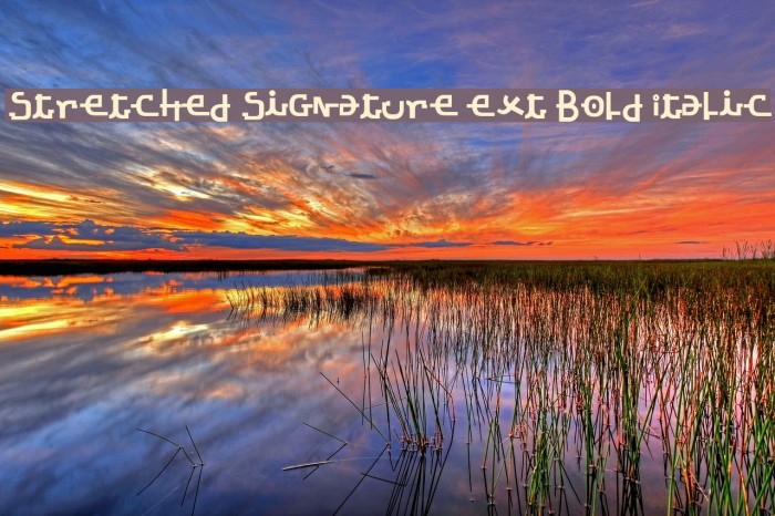 Stretched Signature Ext Bold Italic Font examples