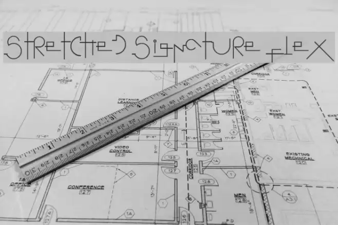 Stretched Signature Flex Polices examples