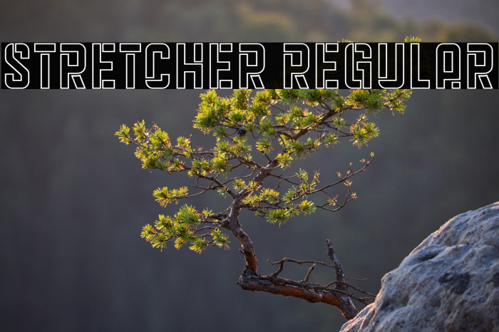 Stretcher Regular Example 1