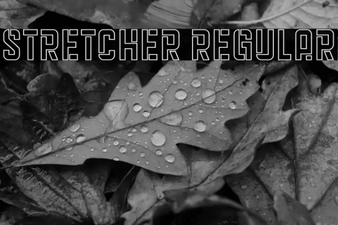 Stretcher Regular Font examples