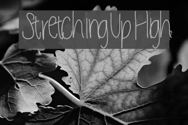 StretchingUpHigh Font examples