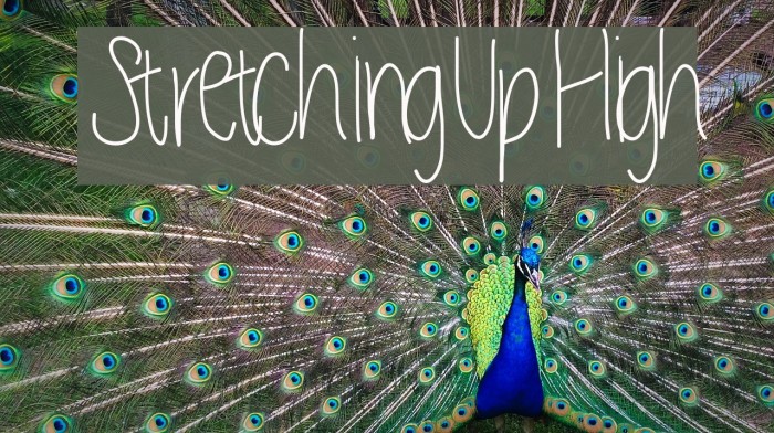 StretchingUpHigh Example 3