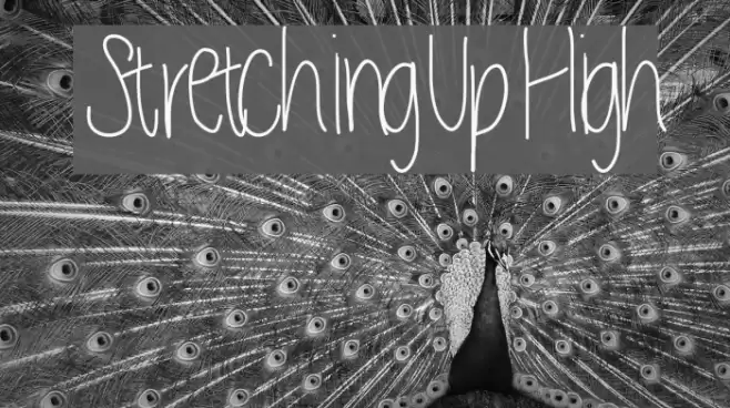 StretchingUpHigh Font examples