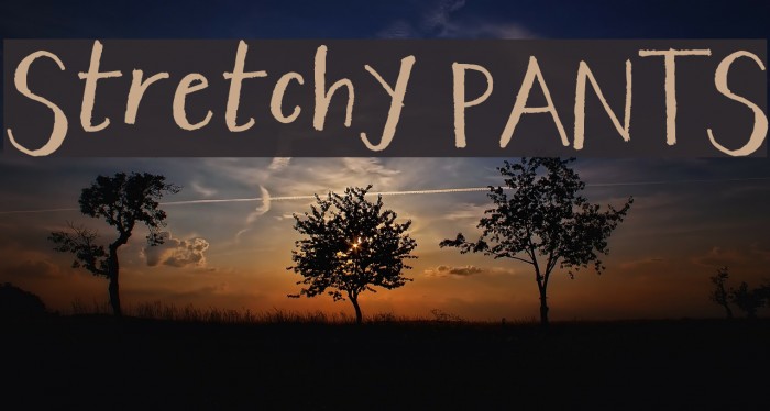 Stretchy PANTS Example 1