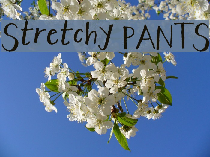 Stretchy PANTS Example 2