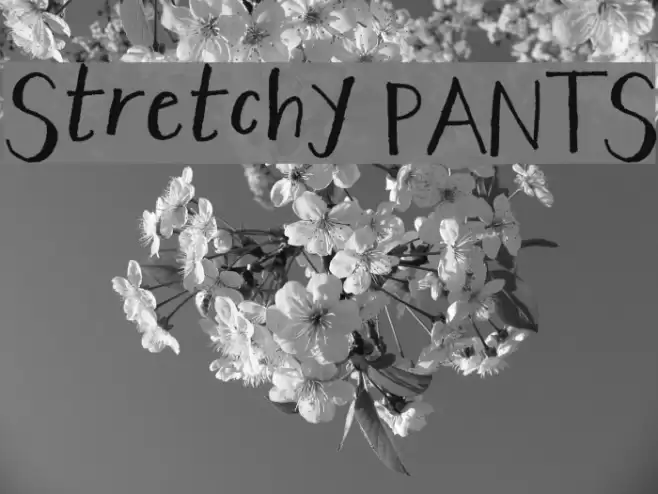 Stretchy PANTS Font examples