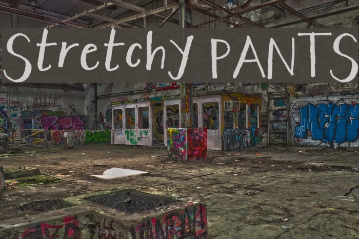 Stretchy PANTS Example 3