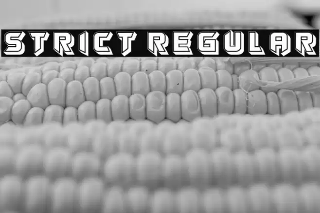 Strict Regular Font examples
