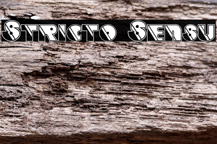 Stricto Sensu Example 1